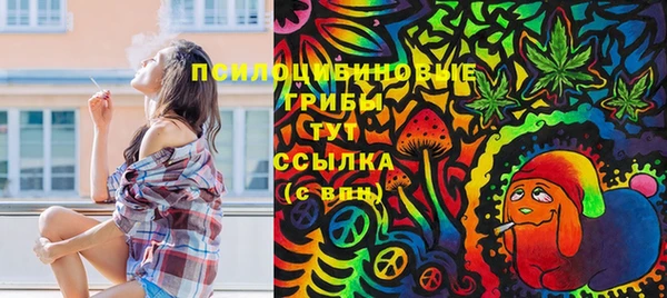 метадон Арсеньев