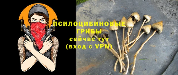 метадон Арсеньев